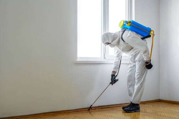 Best Indoor Pest Control  in Reliez Valley, CA